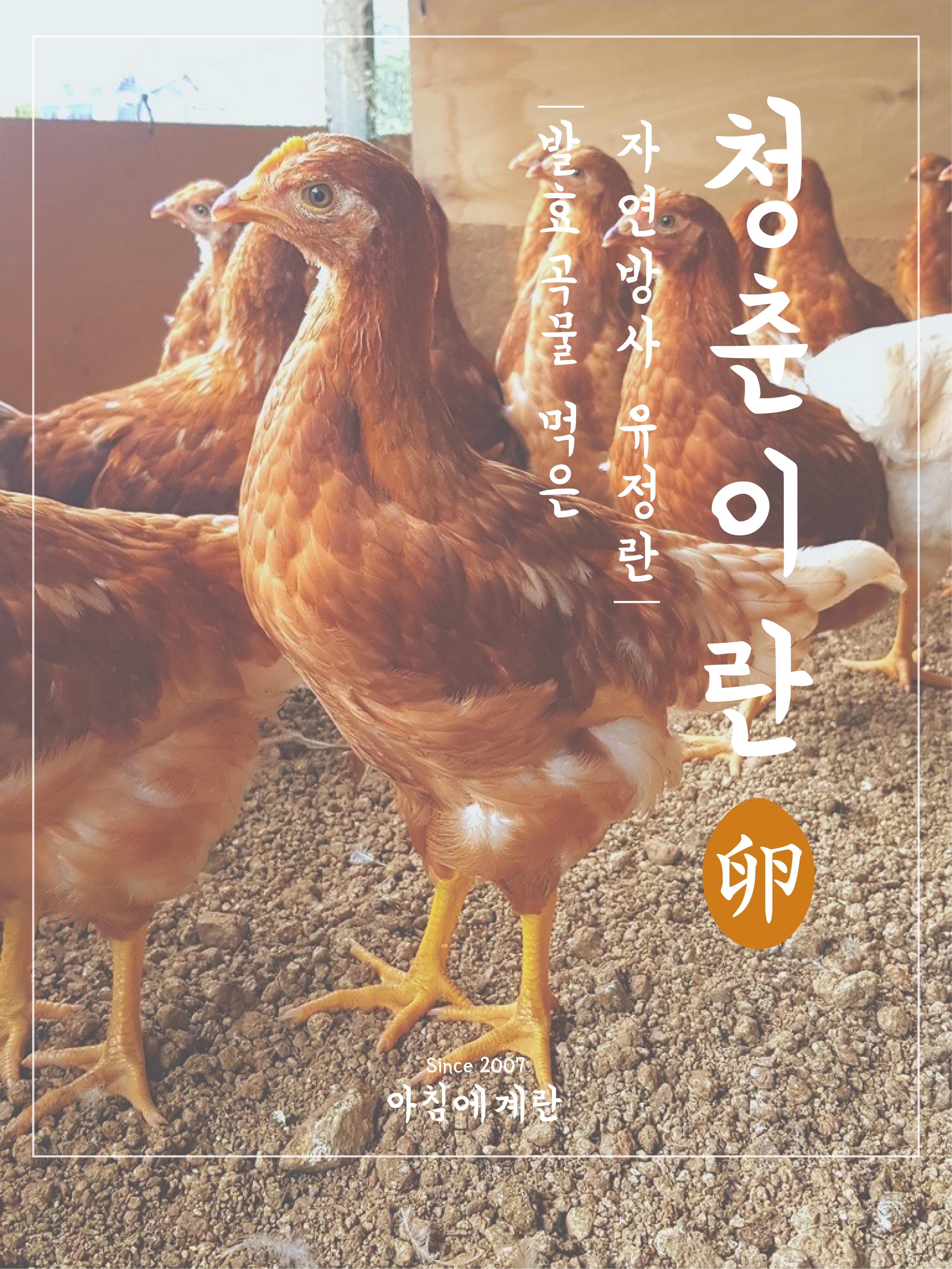 아침에계란 작업 미리보기 10