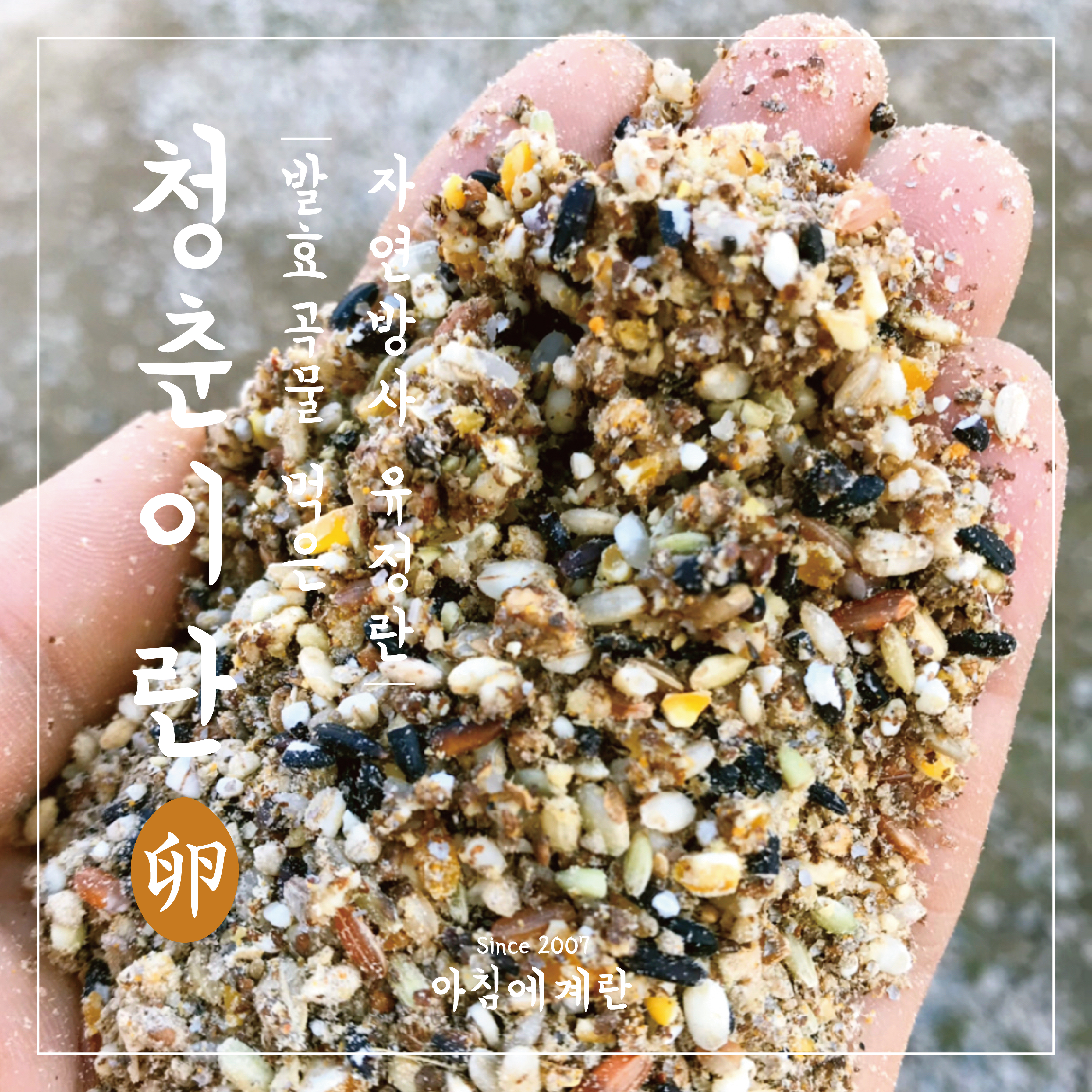 아침에계란 작업 미리보기 5