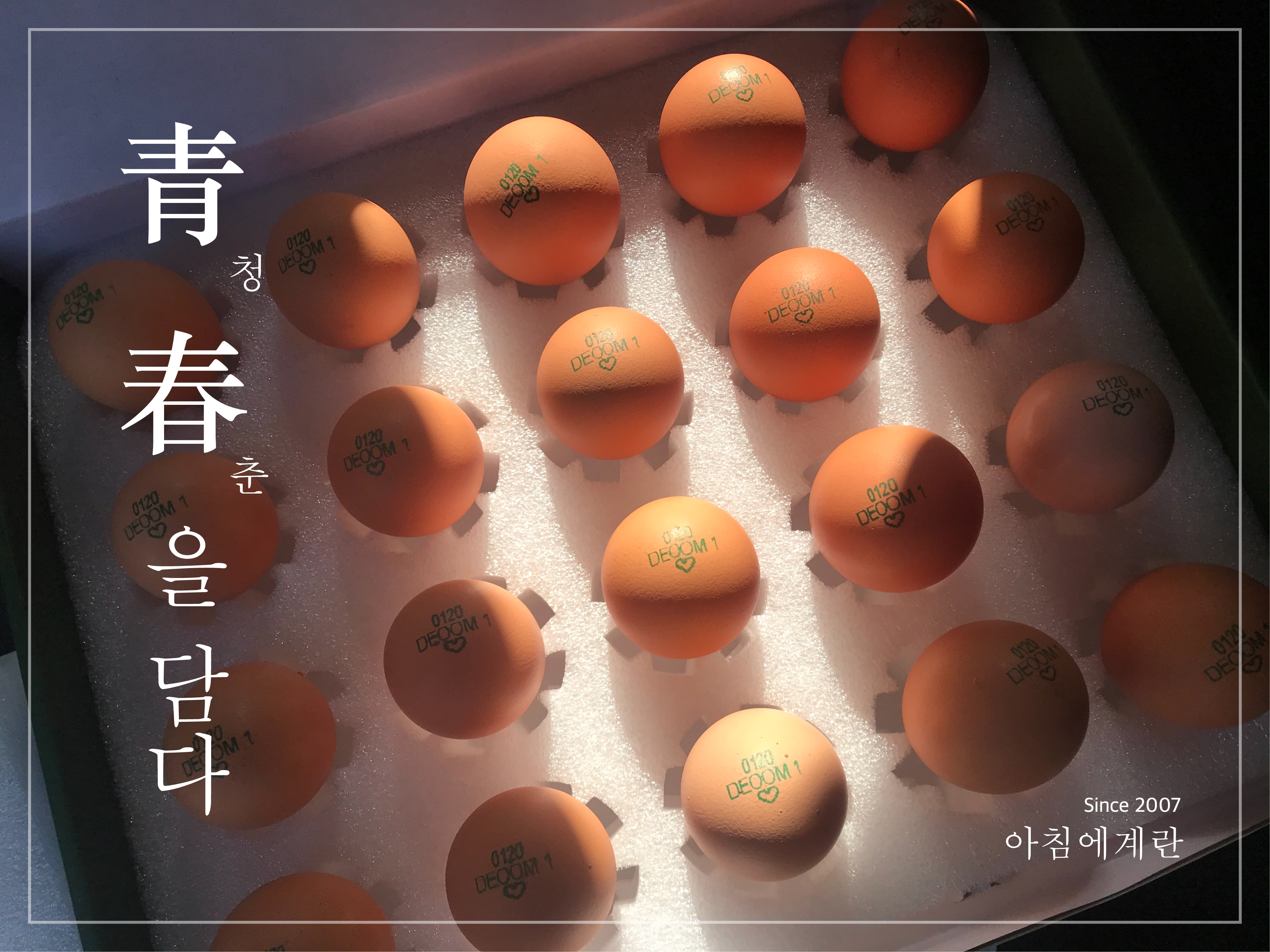 아침에계란 작업 미리보기 6