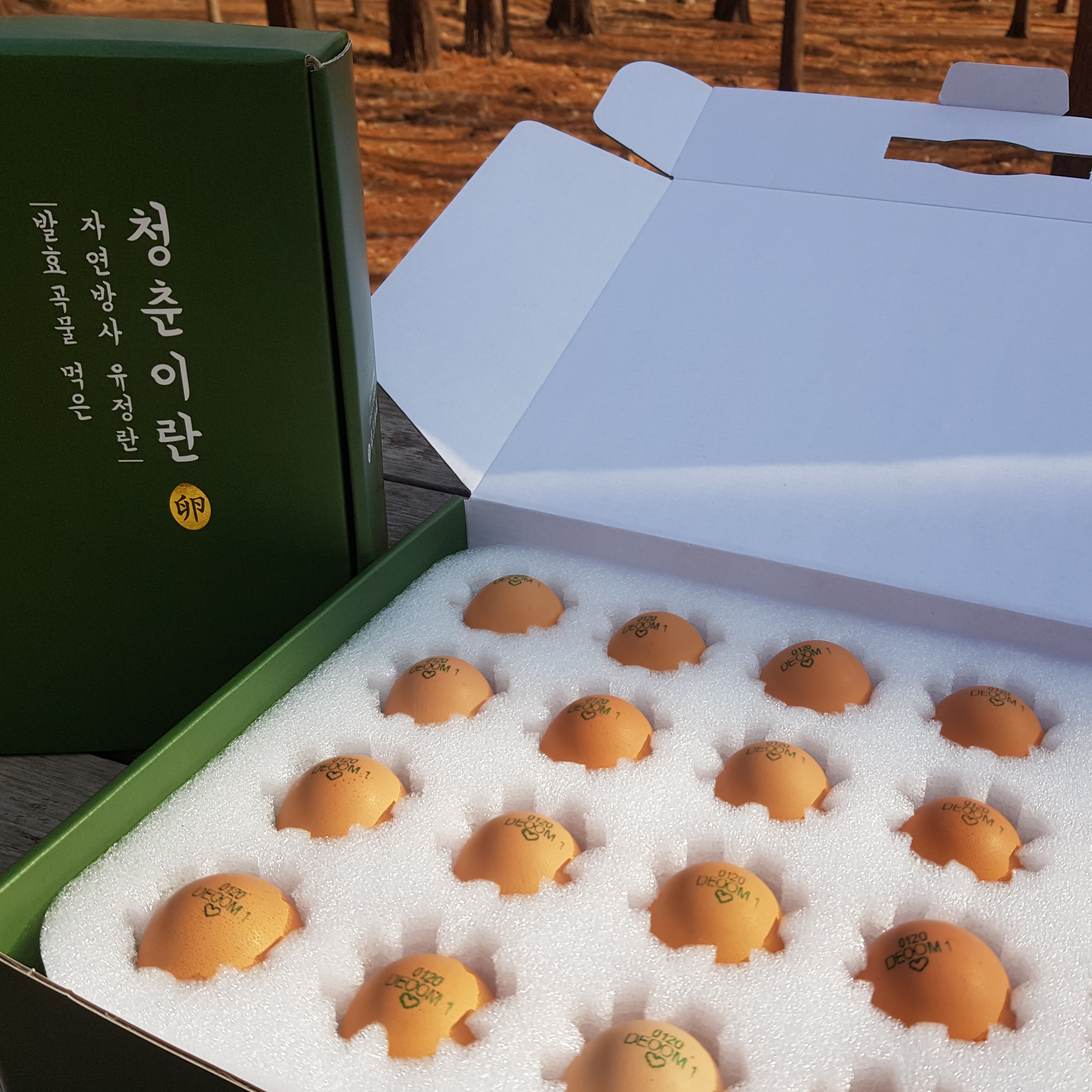 아침에계란 작업 미리보기 8